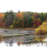 10585015455_82f65675fc_b