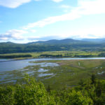 974098306_19feed9e52_b