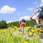 AdobeStock_80443122-1600x1600