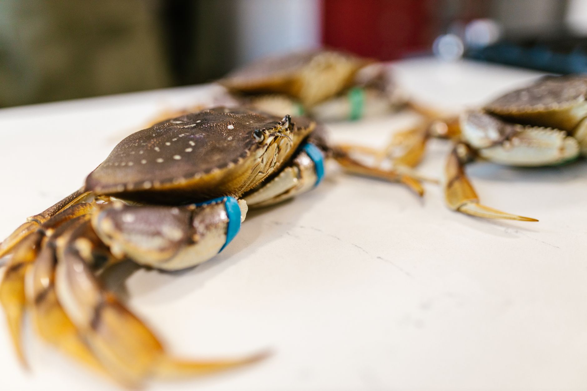 Signature dish Joes Stone Crab