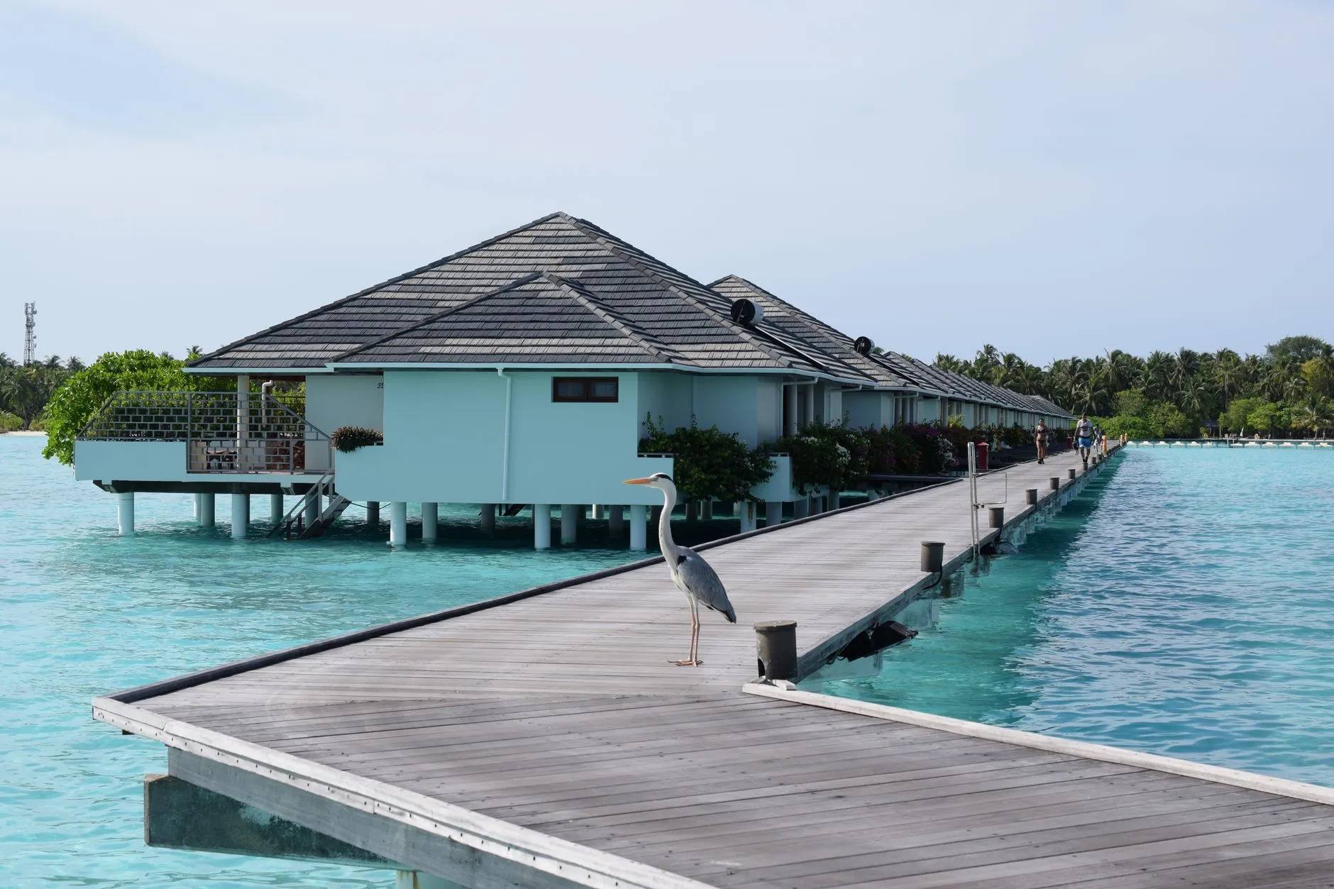 Soneva Fushi exterior