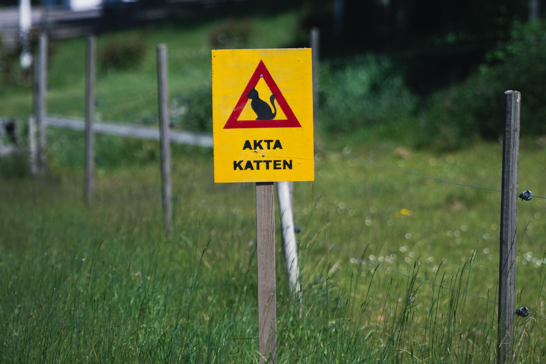 Vete-Katten interior